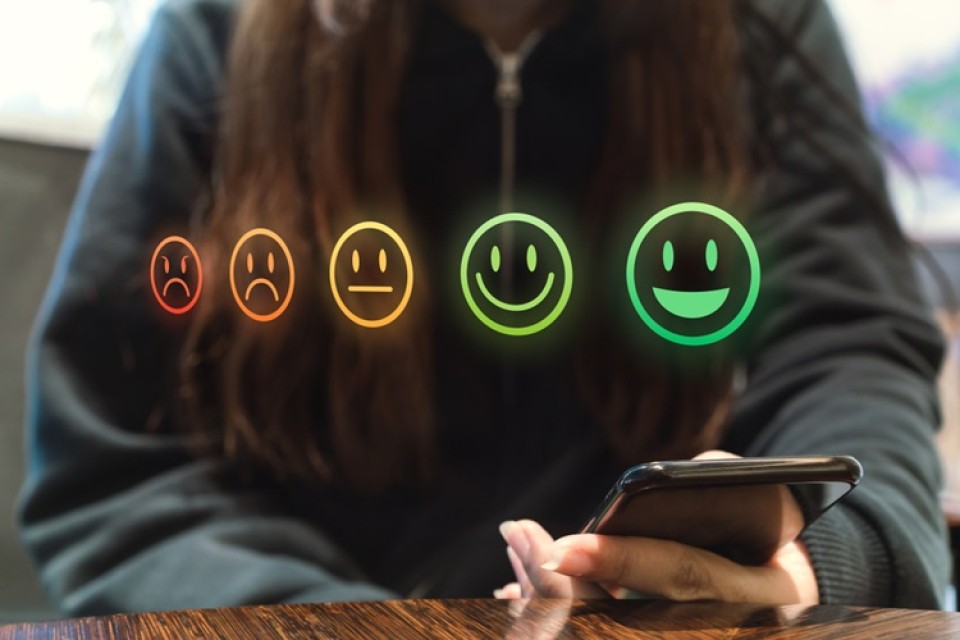 Rating dienstverlening met smilies|Schema relevante publieke waarden|