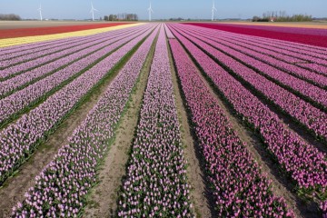 Informatiehuishouding Rijk groeit gestaag door in volwassenheid
