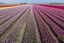 Informatiehuishouding Rijk groeit gestaag door in volwassenheid