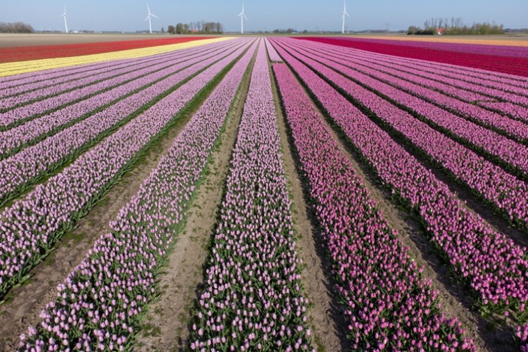 Informatiehuishouding Rijk groeit gestaag door in volwassenheid