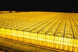 Het stimuleren van duurzame kunstmatige intelligentie