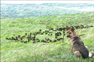 Het idee van vrijheid wordt vaak geromantiseerd