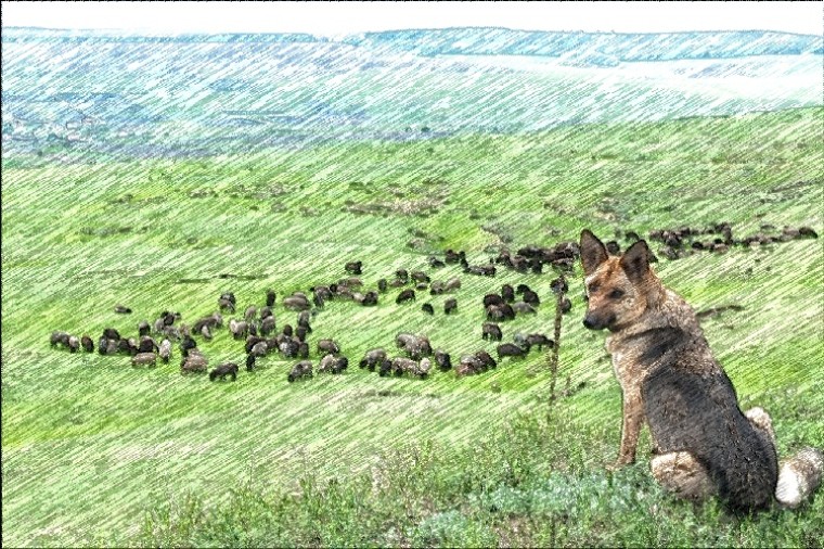 Het idee van vrijheid wordt vaak geromantiseerd