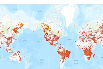 Cryptokunst: Poëzie van brandend bos