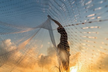 Overheid onderschat risico's van data verzamelen en delen