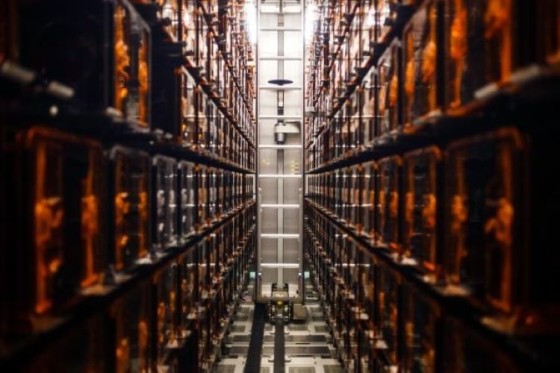 Europese Commissie lanceert actieplan voor Europese AI