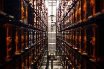 Europese Commissie lanceert actieplan voor Europese AI