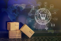 Publieke waarden en rechten bij aanbesteden van ICT