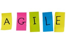 Agile in de overheidspraktijk