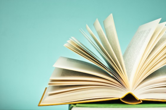 Burgerwoordenboeken als participatie-instrument