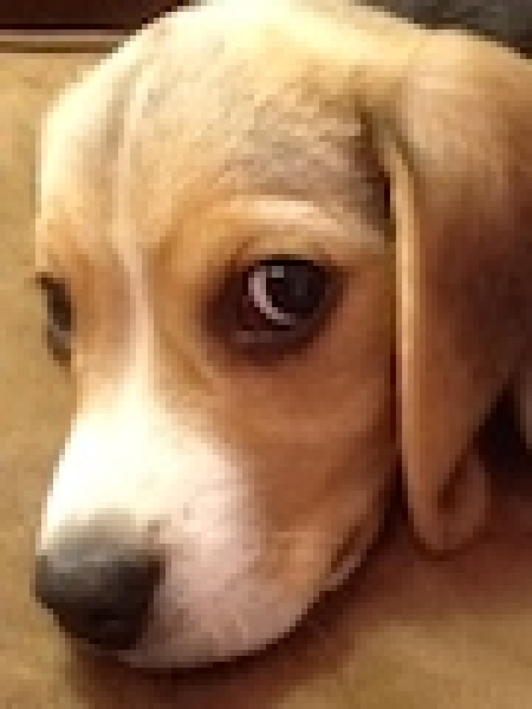 Geachte mevrouw Van Engelshoven