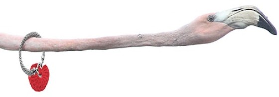 Opensource-Flamingo vliegt uit