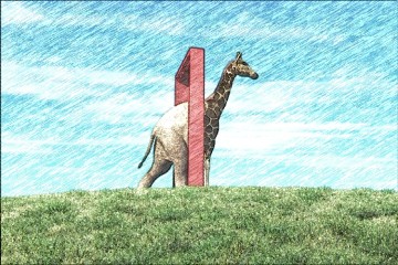 Nieuwe gebruiks­scenario’s