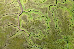 Nazca draagt bij aan mijlpaal 100.000 bodemonderzoeken in de Basisregistratie Ondergrond