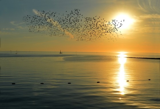 Zo voorkomen we een ‘lockdown’ van de discussie over corona-apps