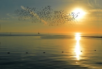 Zo voorkomen we een ‘lockdown’ van de discussie over corona-apps