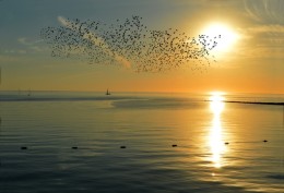 Zo voorkomen we een ‘lockdown’ van de discussie over corona-apps