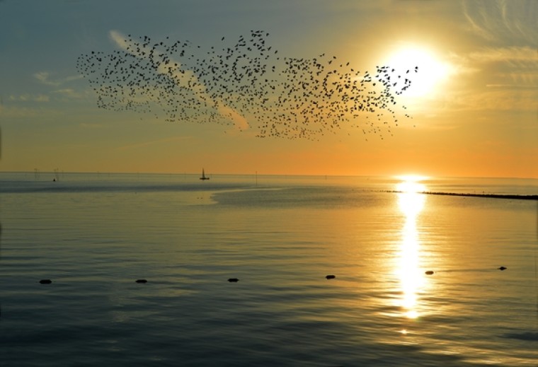 Zo voorkomen we een ‘lockdown’ van de discussie over corona-apps