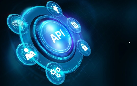 Hoe organiseer je veilig gebruik van Haal Centraal API’s?