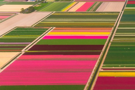 Common Ground en de weg naar een open source platform ecosysteem