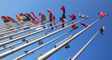 Laveren tussen lobbyisten, kiezers en gezond verstand