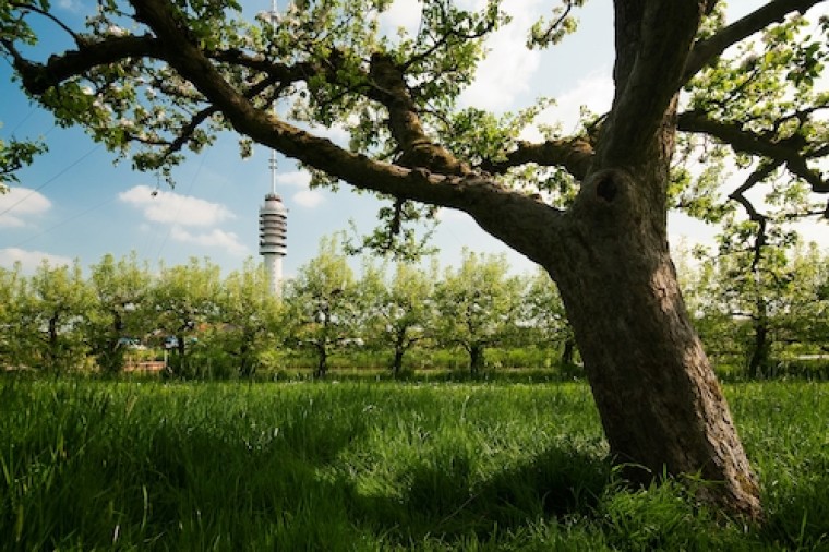 Samen optrekken in grote vraagstukken