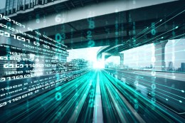 'What you see is all there is’ (WYSIATI)