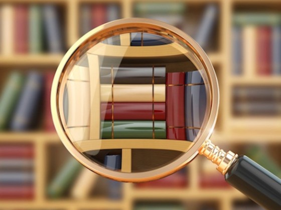 Het onbenutte potentieel van de BRP