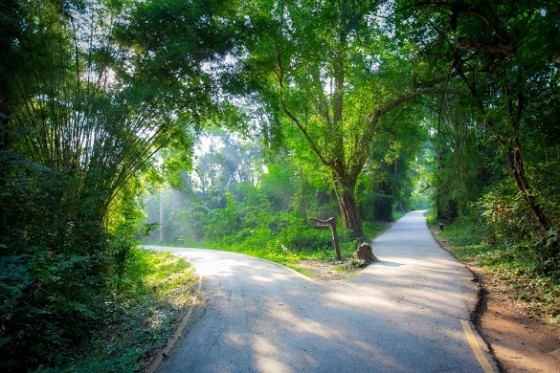 Verkiezingsprogramma’s over digitalisering: 'De bomen en het bos'