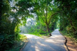 Verkiezingsprogramma’s over digitalisering: 'De bomen en het bos'