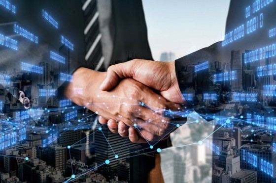 Commissie DiZa vraagt kabinet NDS naar de Tweede Kamer te sturen