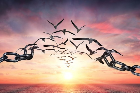 Waarom publieke waarden om publieke code vragen