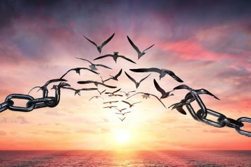 Waarom publieke waarden om publieke code vragen