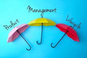 Vakmanschap en lifecyclemanagement grootste hordes bij ICT-plannen rijk