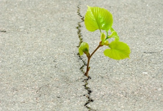 Wie samenwerkt levert soms in