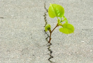 Wie samenwerkt levert soms in