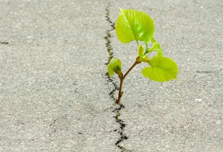 Wie samenwerkt levert soms in