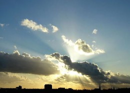 Miedema’s coöperatie in de steigers