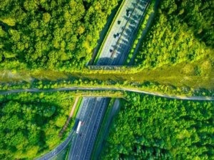 Society 5.0: Wat is de rol van de overheid in de verduurzaming van Nederland?