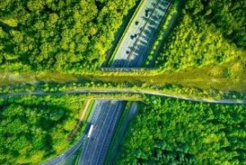 Society 5.0: Wat is de rol van de overheid in de verduurzaming van Nederland?