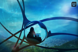 IT & de overheid: Ecosysteem of verzameling platformen?