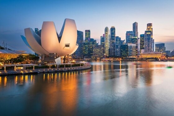 Waarom Singapore de digitale overheid bouwt die wij beloven