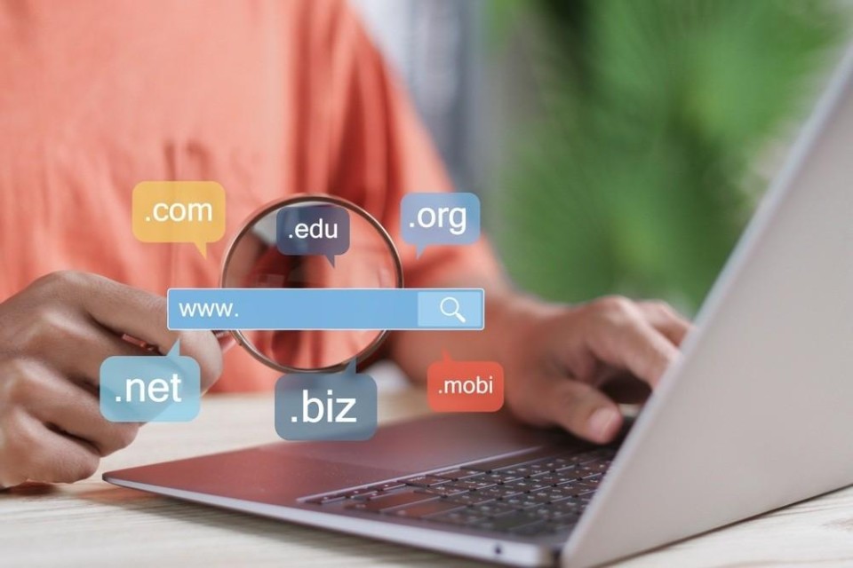 Man achter laptop met domeinnamen er boven geprint