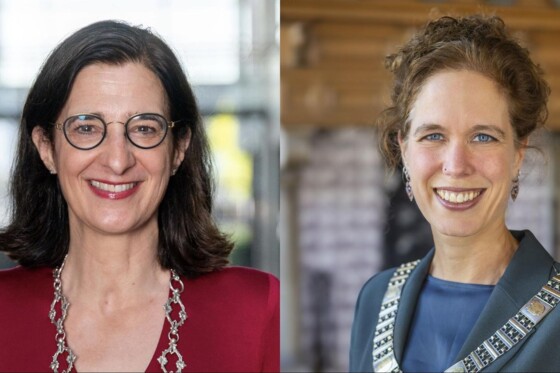 Cyberburgemeesters willen boter bij de vis zien