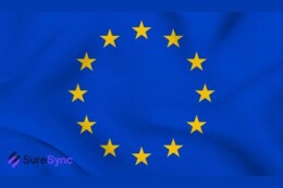 ERDS als ontbrekende schakel in Europese digitale rapportages