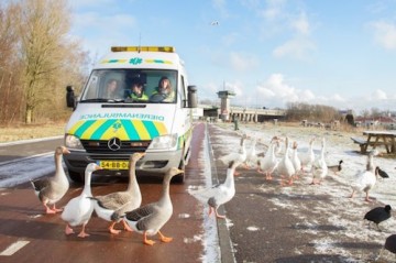 Overheid heeft taak in civic crowdfunding