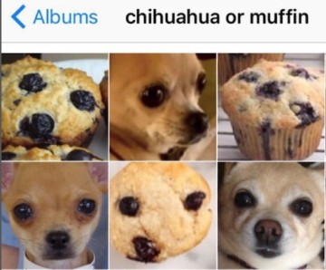 AI gaat over de kwaliteit van data