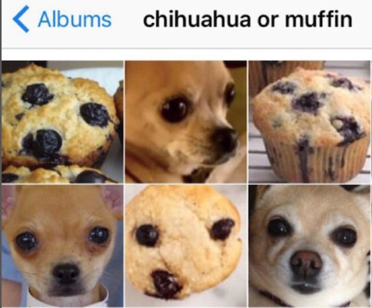 AI gaat over de kwaliteit van data