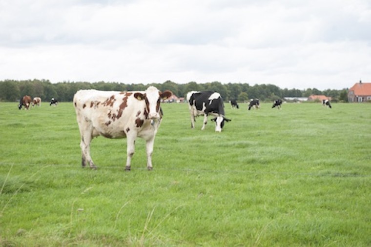 Waar een wil is, is snel internet