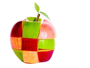 Aanbesteden kán een beetje agile